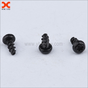 Black Torx self tapping screws manufacturer