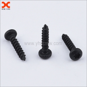 Black Torx self tapping screws manufacturer