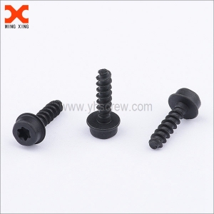 Black Torx self tapping screws manufacturer