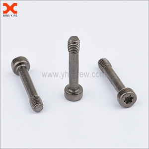 Torx socket head cap screw manufacturer in China